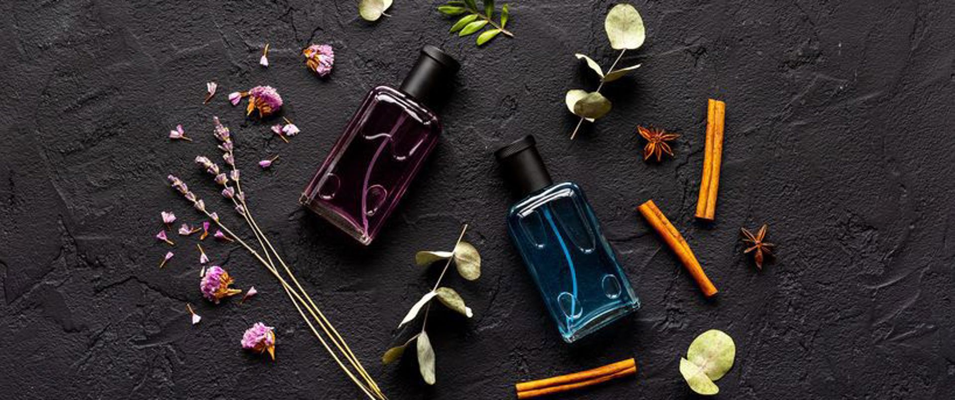 Vanilya Kokulu Parfüm Önerileri